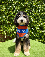 Load image into Gallery viewer, PRE-ORDER New York Basketball Knit Bandana