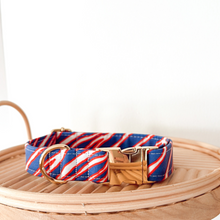 Load image into Gallery viewer, GOLD Buffalo Collar
