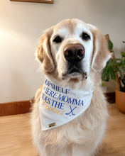 Load image into Gallery viewer, Where Momma Hides the Cookies