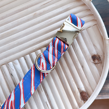 Load image into Gallery viewer, GOLD Buffalo Collar