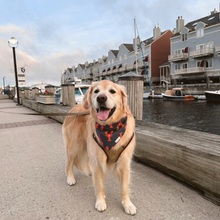 Load image into Gallery viewer, Trip to Maine Bandana