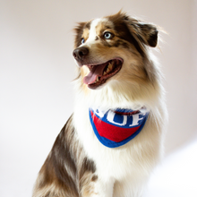 Load image into Gallery viewer, Buffalo Knit Bandana