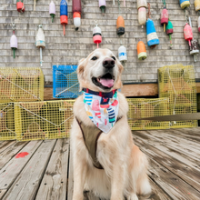 Load image into Gallery viewer, Trip to Maine Bandana