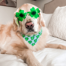 Load image into Gallery viewer, Shamrock Shades