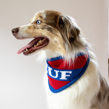 Load image into Gallery viewer, Buffalo Knit Bandana