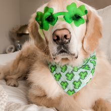 Load image into Gallery viewer, Shamrock Shades