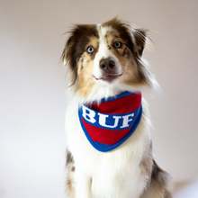 Load image into Gallery viewer, Buffalo Knit Bandana