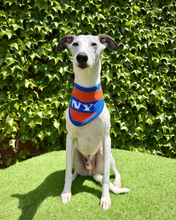 Load image into Gallery viewer, PRE-ORDER New York Basketball Knit Bandana