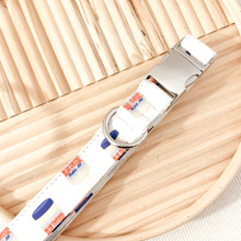 Load image into Gallery viewer, Blue Cheese Collar - SILVER