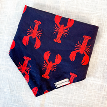 Load image into Gallery viewer, Trip to Maine Bandana