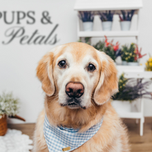 Load image into Gallery viewer, Blue Gingham Daisy