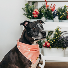 Load image into Gallery viewer, Pink Daisy