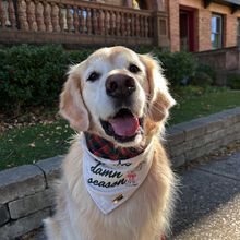 Load image into Gallery viewer, 'Tis the damn season