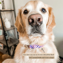 Load image into Gallery viewer, SILVER Buffalo Stripes Collar