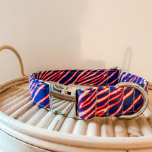 Load image into Gallery viewer, SILVER Buffalo Stripes Collar