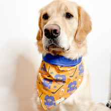 Load image into Gallery viewer, Buffalo Hockey