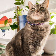 Load image into Gallery viewer, Buffalo Cat (or tiny dog!) Collar