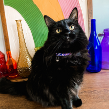 Load image into Gallery viewer, Buffalo Cat (or tiny dog!) Collar