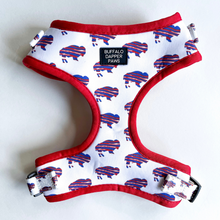 Load image into Gallery viewer, Buffalo Harness