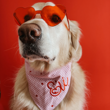 Load image into Gallery viewer, Dog wearing heart-shaped sunglasses and a bandana with 'Eli on a red background
