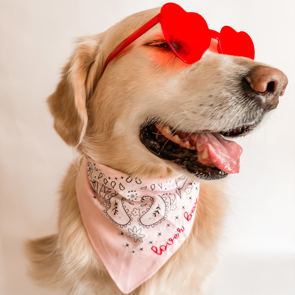 Lover Girl / Lover Boy Embroidered Dog Bandana
