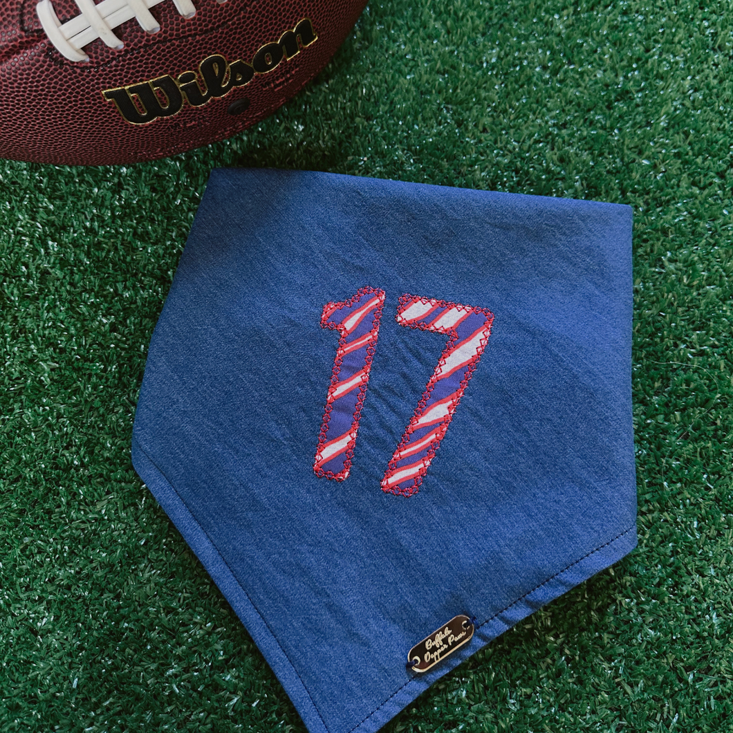 Embroidered 17 Applique Bandana