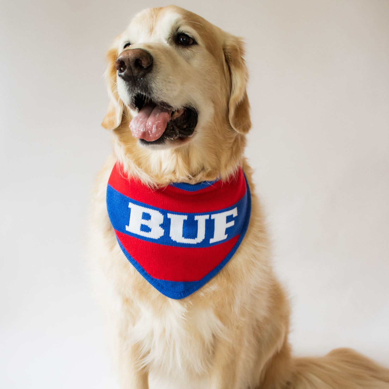 Pattern Buffalo Bills Bandana BUF Knit Dog Bandana Buffalo Dapper Paws