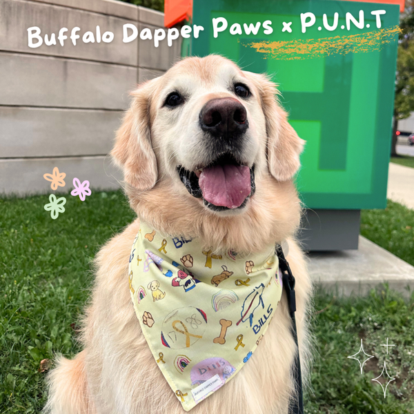 Buffalo Dapper Paws x P.U.N.T.