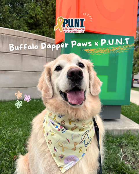 Buffalo Dapper Paws x P.U.N.T.