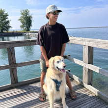 Load image into Gallery viewer, Ask me about my dog embroidered hat
