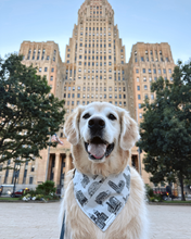 Load image into Gallery viewer, The Roaming Buffalo Art x Buffalo Dapper Paws | Buffalo Buildings Bandana
