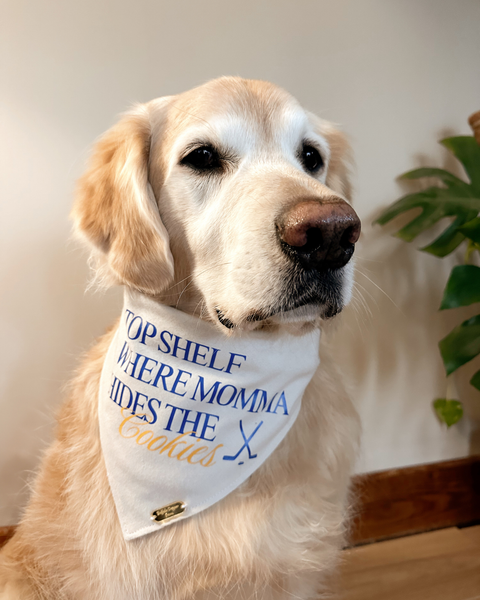 Where Momma Hides the Cookies