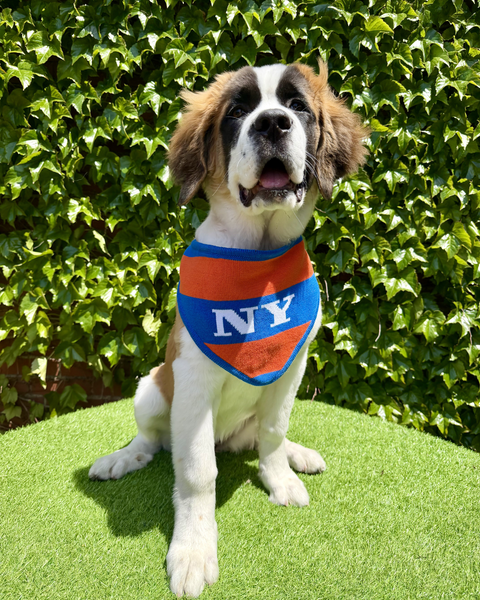 PRE-ORDER New York Basketball Knit Bandana