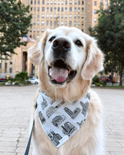 Load image into Gallery viewer, The Roaming Buffalo Art x Buffalo Dapper Paws | Buffalo Buildings Bandana
