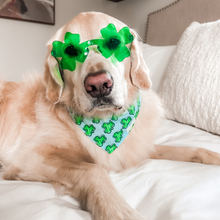 Load image into Gallery viewer, Shamrock Shades
