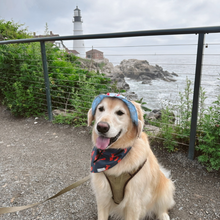 Load image into Gallery viewer, Trip to Maine Bandana
