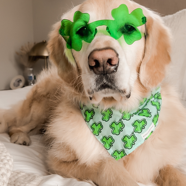 Shamrock Shades