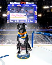 Load image into Gallery viewer, PRE-ORDER Buffalo Knit Hockey Bandana
