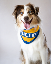 Load image into Gallery viewer, PRE-ORDER Buffalo Knit Hockey Bandana
