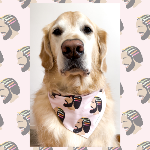 Drake dog bandana best sale