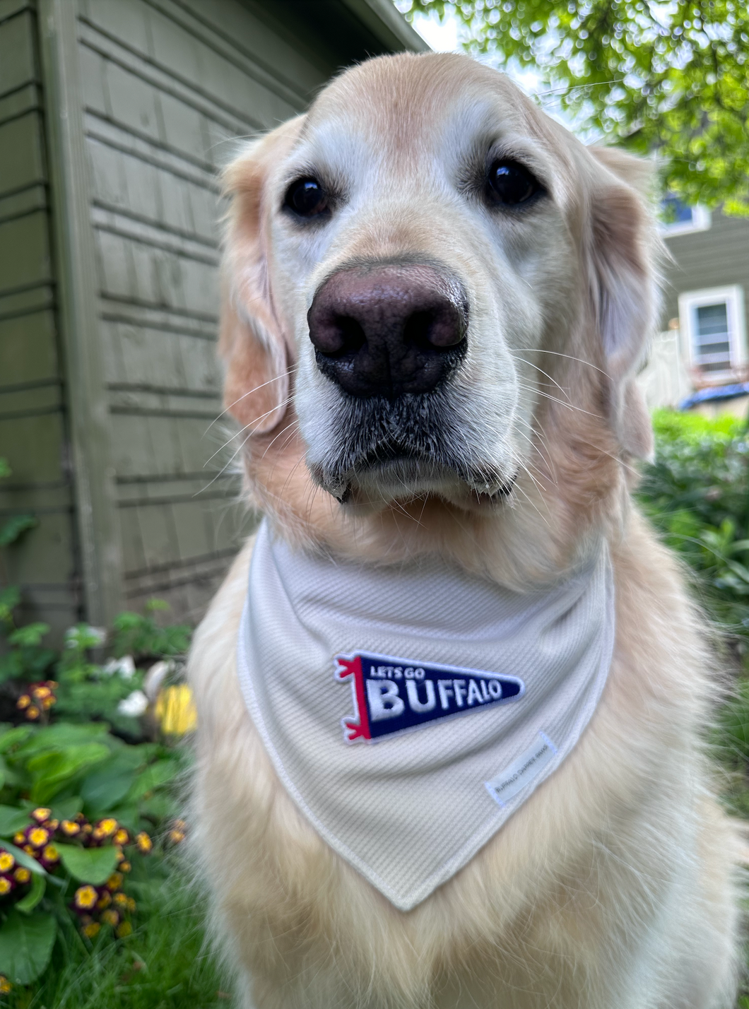 Knit Lets go buffalo bandana