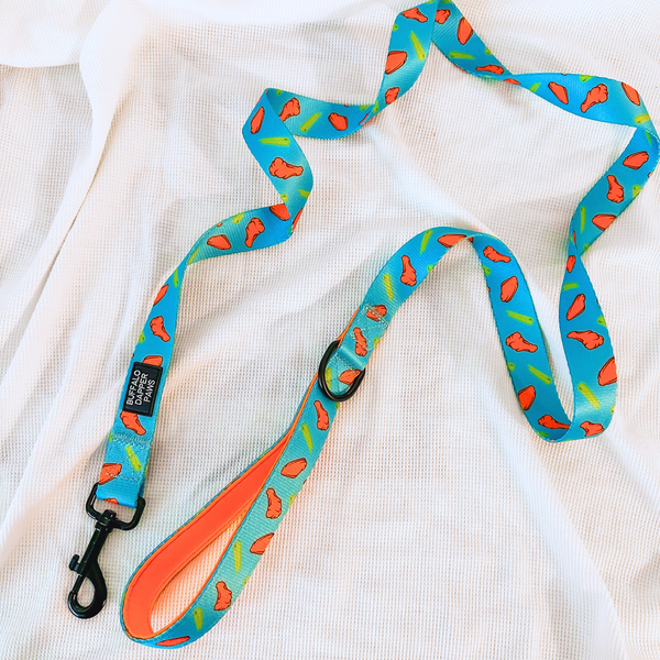 Teal Chicken Wing Leash
