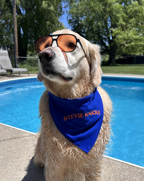 Stevie Knicks Bandana