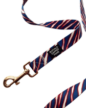 Load image into Gallery viewer, Buffapup Leash Gold Hardware
