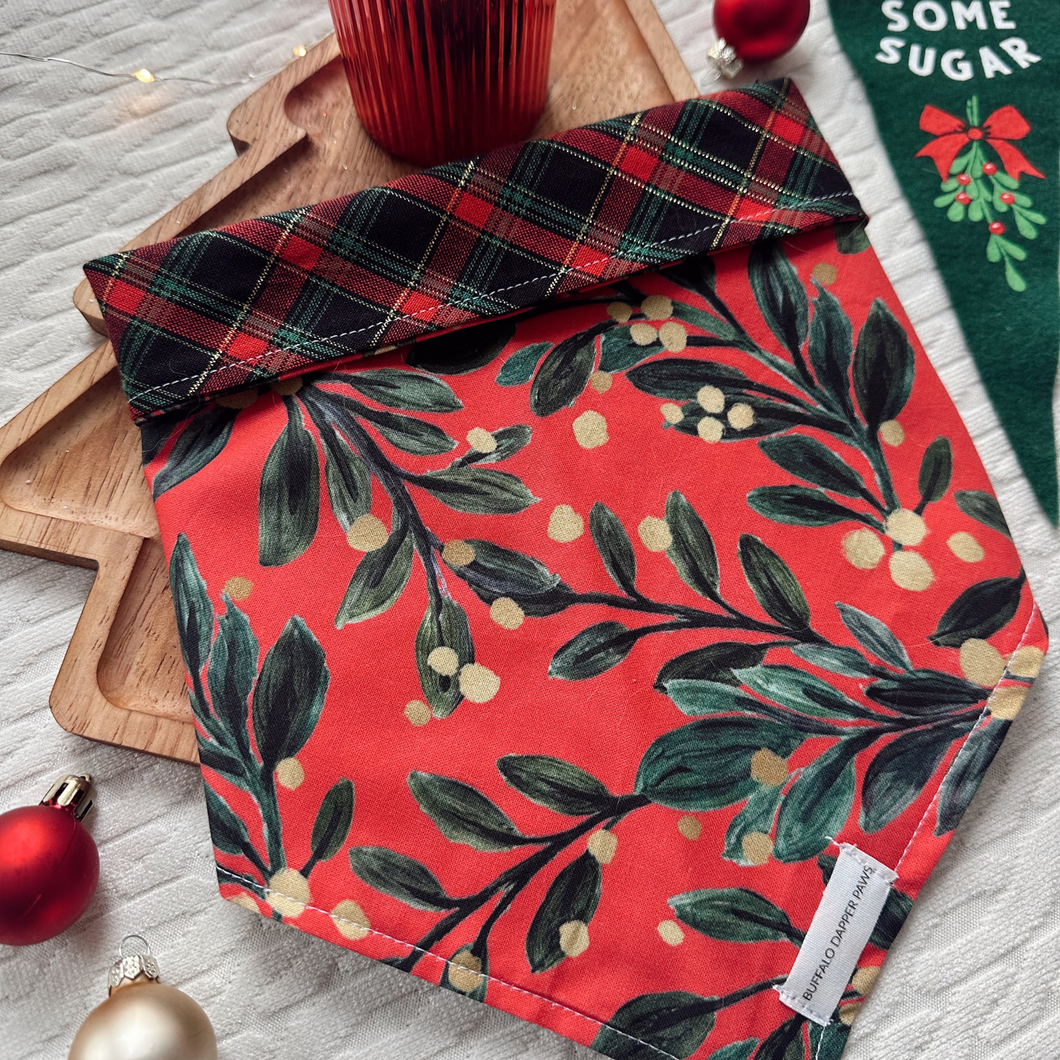 Meet me under the mistletoe (RED)