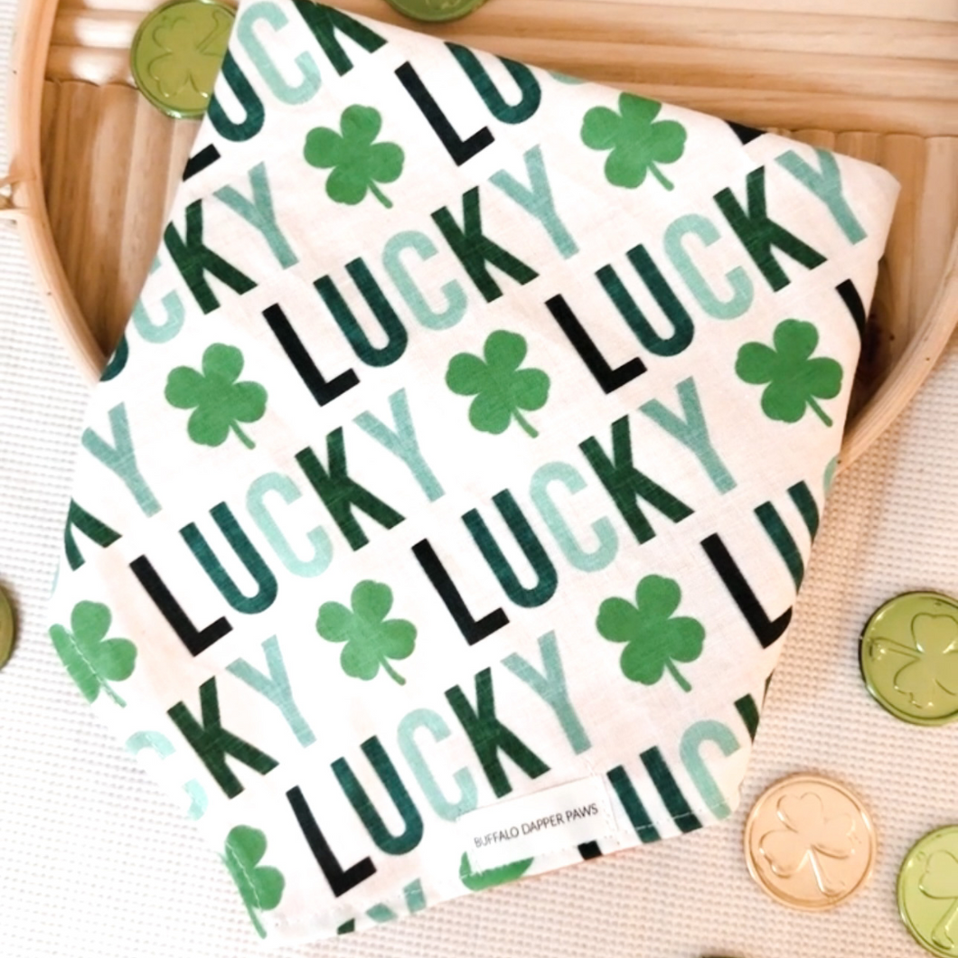 LUCKY (design from last year!)